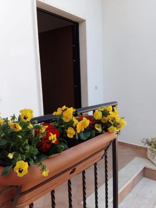 Appartamento Casa Di Cristina Fiumicino Esterno foto