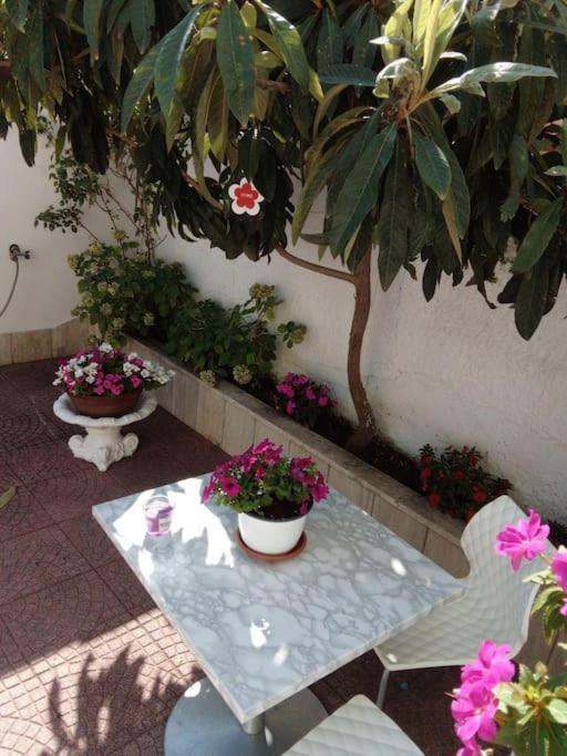 Appartamento Casa Di Cristina Fiumicino Esterno foto